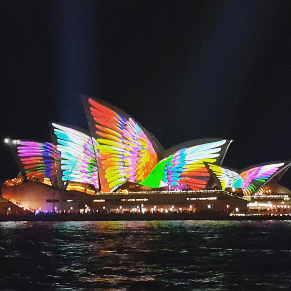 English students on Vivid Sydney - MEGA